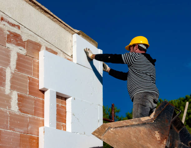Best Wall Insulation Contractor  in Ceresco, NE