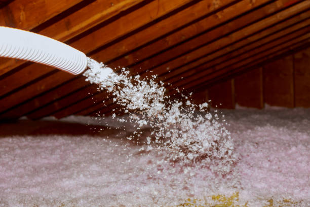Best Best Insulation Companies  in Ceresco, NE