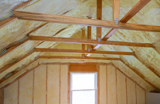 Best Insulation Contractor Near Me  in Ceresco, NE