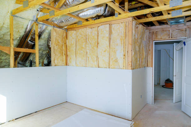 Best Insulation Replacement Services  in Ceresco, NE