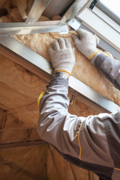 Best Energy-efficient Insulation  in Ceresco, NE