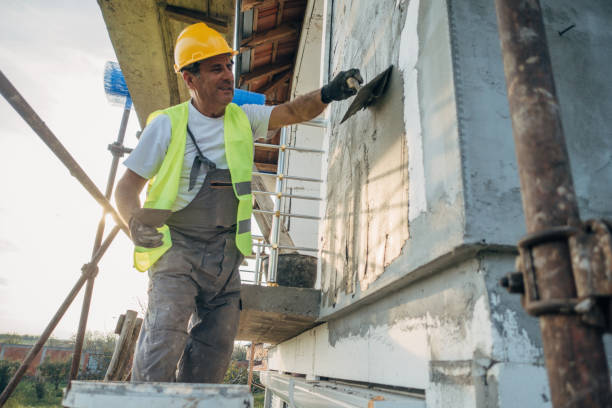 Best Insulation Inspection Services  in Ceresco, NE