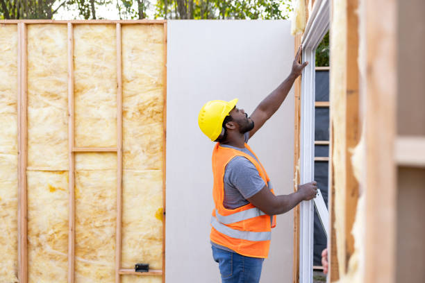 Best Insulation for New Construction  in Ceresco, NE