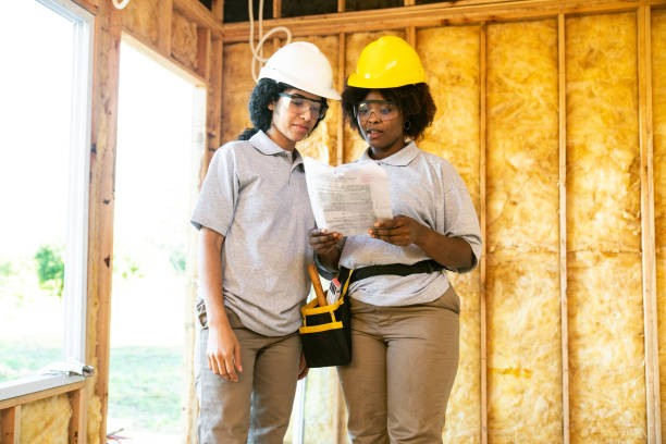 Best Insulation Removal Services  in Ceresco, NE
