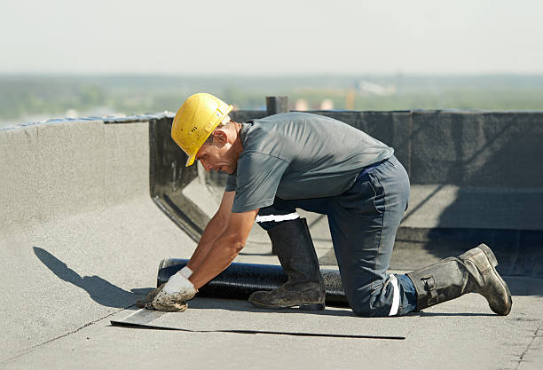 Best Insulation Repair Services  in Ceresco, NE