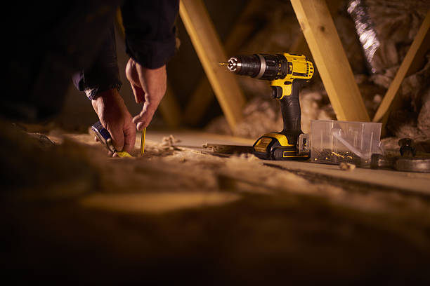 Best Professional Insulation Contractor  in Ceresco, NE