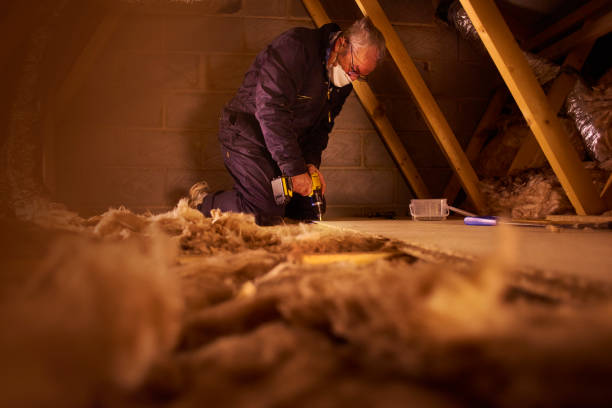 Attic Insulation Near Me in Ceresco, NE